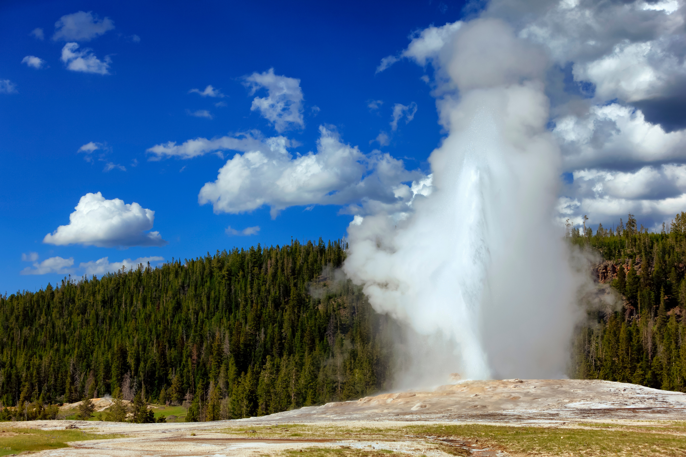 yellowstone national park, wyoming (2).webp